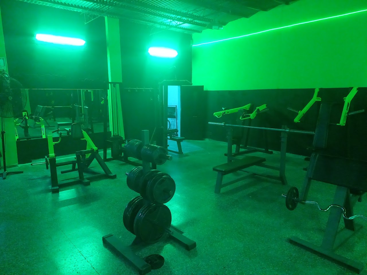 Interior del gimnasio Generación de Hierro